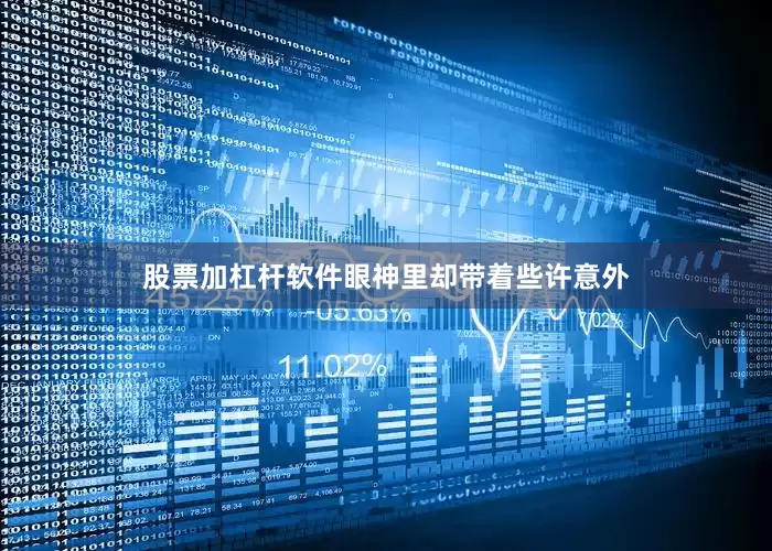 股票加杠杆软件眼神里却带着些许意外