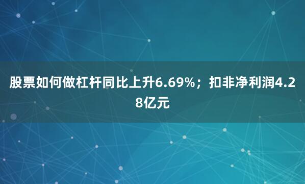 股票如何做杠杆同比上升6.69%；扣非净利润4.28亿元
