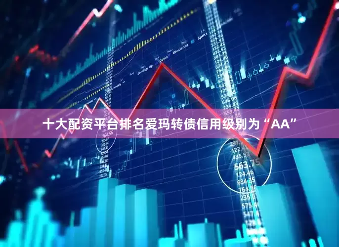 十大配资平台排名爱玛转债信用级别为“AA”