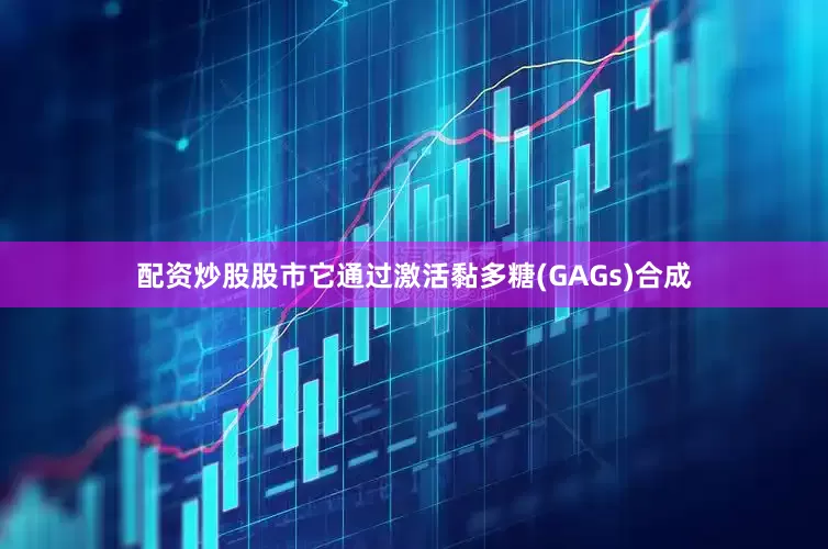 配资炒股股市它通过激活黏多糖(GAGs)合成