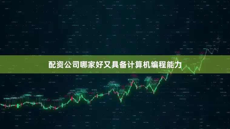 配资公司哪家好又具备计算机编程能力