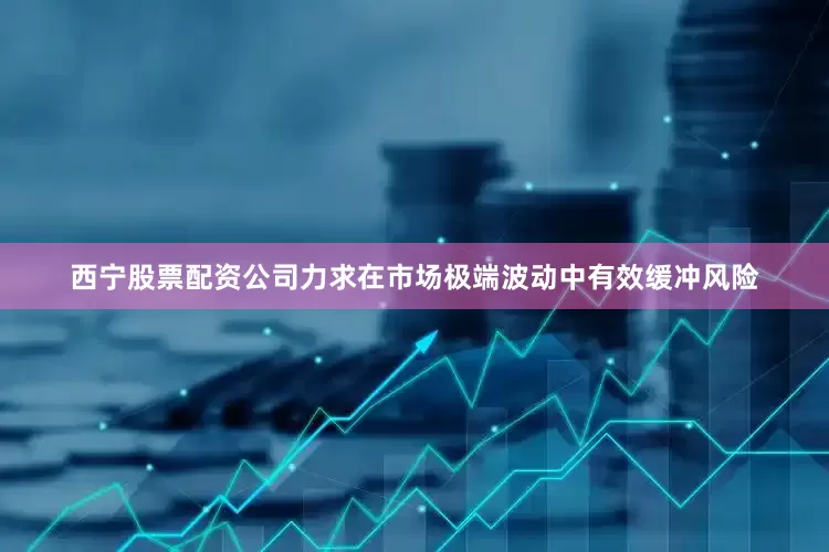 西宁股票配资公司力求在市场极端波动中有效缓冲风险