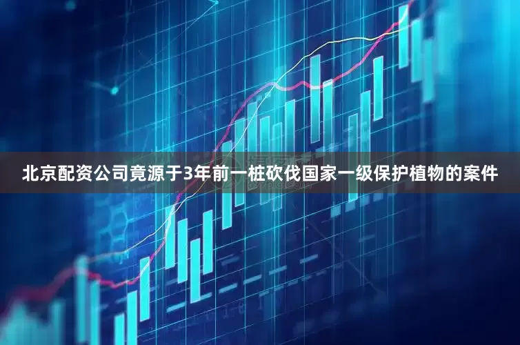 北京配资公司竟源于3年前一桩砍伐国家一级保护植物的案件